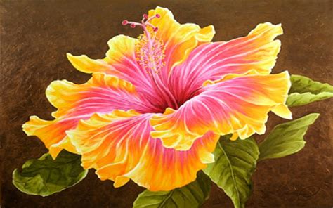 🔥 [46+] Beautiful Hawaiian Flower Garden Wallpapers | WallpaperSafari