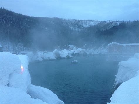 Chena Hot Springs & Northern Lights Tour - Alaska Wildlife Guide LLC ...