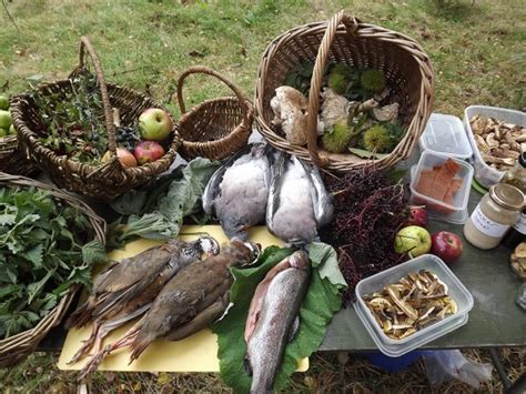 Wildfood and Wilderness Cookery Day - Woodland Survival Crafts