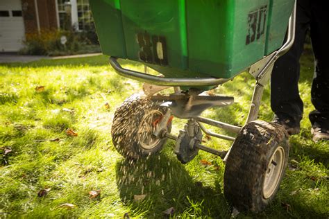 Summer Lawn Care Guide: Weeds, Watering, Diseases, Pests & More