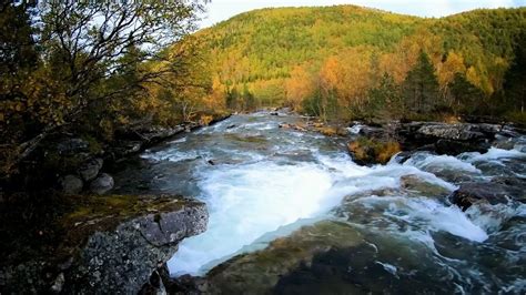 Sound of a waterfall in the autumn forest