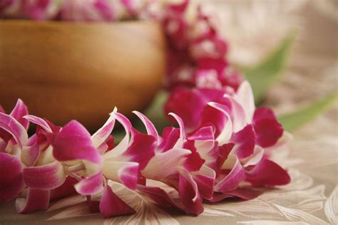 Orchid Leis | Fresh Hawaiian Flower Leis Shipped Nationwide