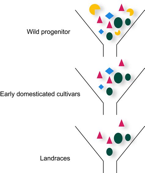 The Origins of Crop Plants – History and Science of Cultivated Plants