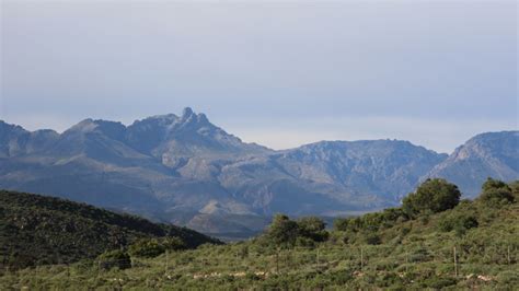 Ladismith and Surrounding Area - GoBirding