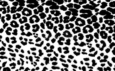 Leopard Print Stock Photo - Image: 25263070