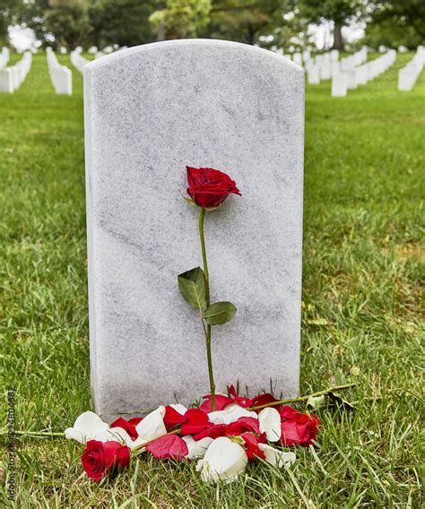 A Blank Headstone with a Rose and rose petals Stock Photo | Adobe Stock