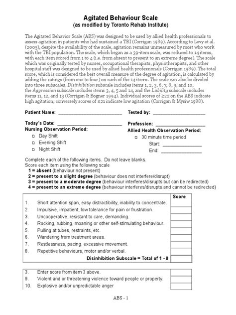 Agitated Behaviour Scale Form Modified-3 | Health Professional | Physical Therapy