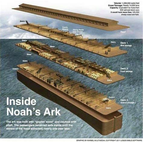 Perceptions From Beyond Time And Space: Noah's Ark Was More Than Big ...