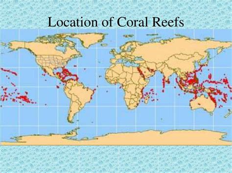 PPT - Coral Reef Biome PowerPoint Presentation, free download - ID:2763697