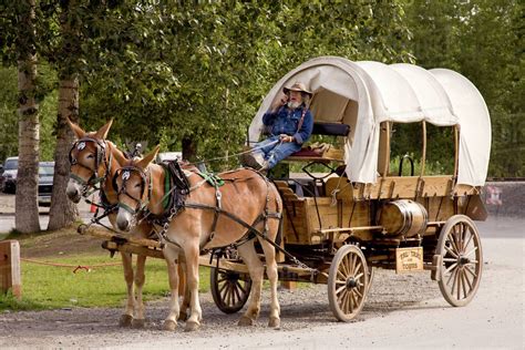 USA, Alaska, Talkeetna. Covered wagon pulled by two mules is a tour taxi for the town. - Stock ...