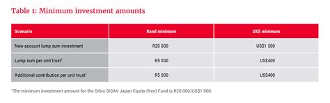 Allan Gray | Simplifying offshore investing