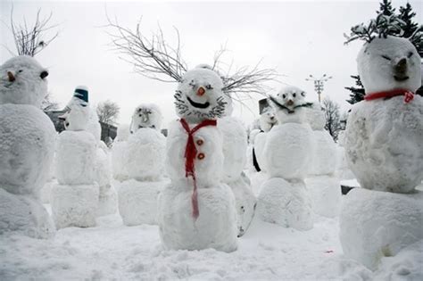 Snowman Real, Funny Snowman, Build A Snowman, Frosty The Snowmen ...