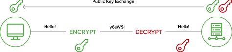 How Public-Key Cryptography Algorithms works?