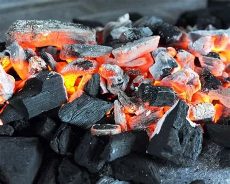 Hardwood Charcoal Vs Hardwood Briquettes: A Flavorful Debate - Gombella