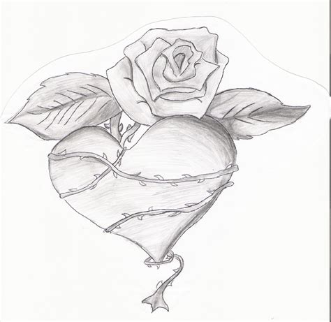 Heart Wrapped Around Rose | Roses drawing, Heart drawing, Love drawings