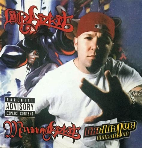 Limp Bizkit - Maximum Bizkit (Exclusive Collection) (2000, CD) | Discogs