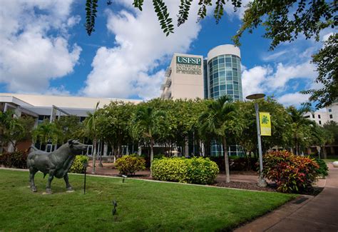 USF St. Petersburg campus faculty among the top two percent of ...