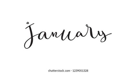 Word January Written Elegant Modern Calligraphy Stock Vector (Royalty Free) 1239051328 ...