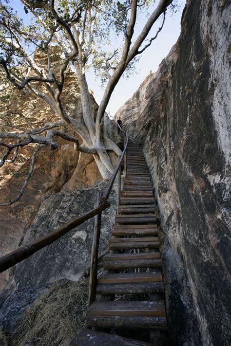 Mapungubwe National Park, South Africa.\nWooden steps to top of ...