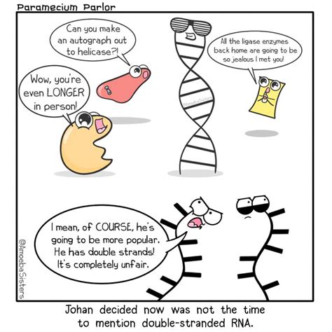 The Fascinating World of RNA