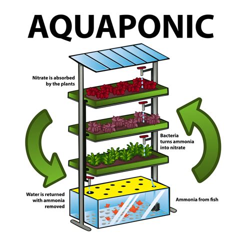 Que Es La Energia Biovegetal - Gias