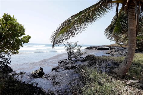 Tides move oil spill away from Tobago to the Caribbean, neighbors on ...