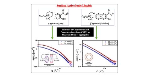 Investigating the Influence of Aromatic Counterions on the Micellar ...