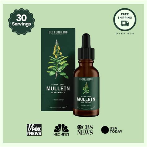 BetterLungs® Mullein Leaf Extract - Walmart.com