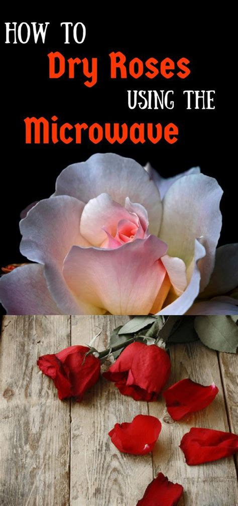 How to Dry Roses Using the Microwave - Aspiring Homemaker | Dried flowers diy, How to preserve ...