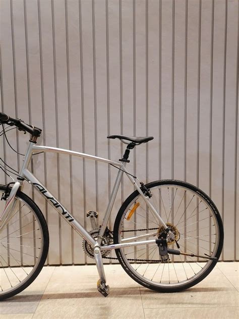 Avanti Hybrid Bike, Sports Equipment, Bicycles & Parts, Bicycles on ...