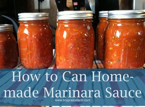 Canning Homemade Marinara Sauce | Marinara sauce homemade, Homemade marinara, Marinara sauce recipe