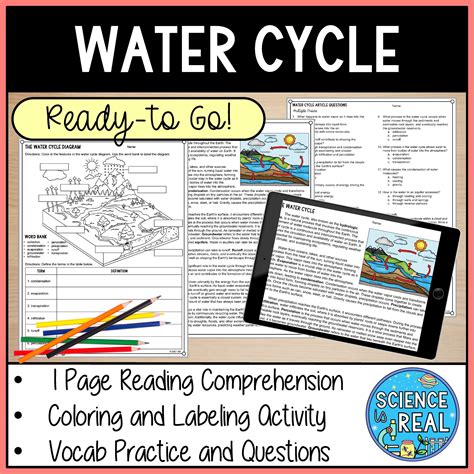 Biogeochemical Cycles Diagrams, Questions, and Reading Comprehensions ...