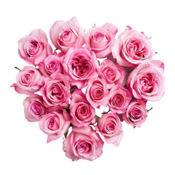 Heart Shaped Pink Roses Bouquet, Heart Shaped, Pink Roses, Flowers PNG Transparent Image and ...