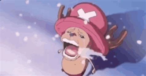 Chopper GIF - Chopper - Descubrir y compartir GIFs