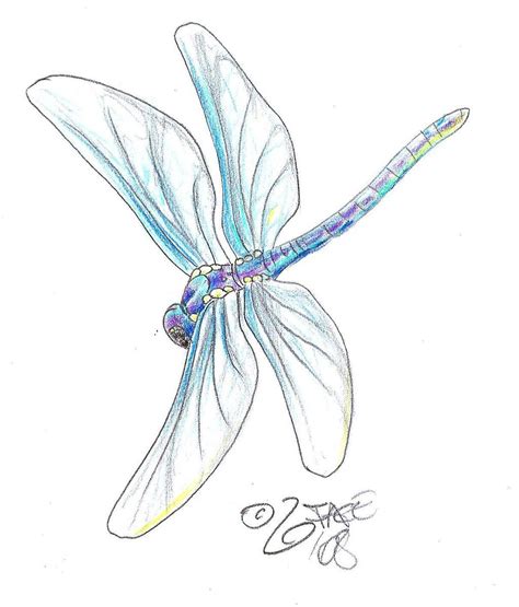 maybe, just maybe... | Dragonfly tattoo design, Dragonfly artwork ...