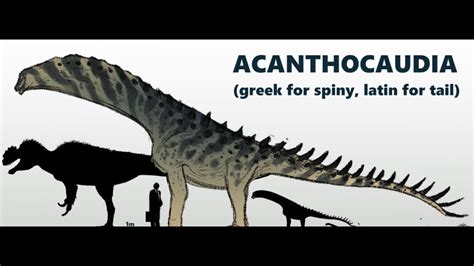 Acanthocaudia analysis | Prior Extinction - YouTube