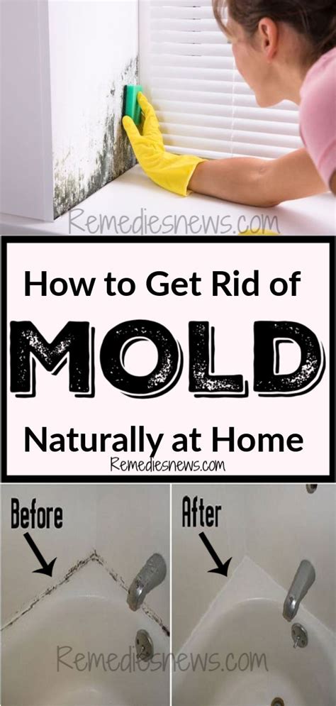 How to Get Rid of Mold Naturally at Home | Remediesnews