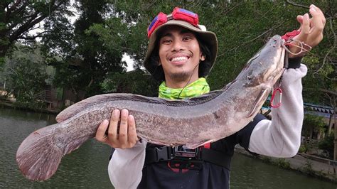 Caught a BIG Catfish! - Fishing in The Philippines - YouTube