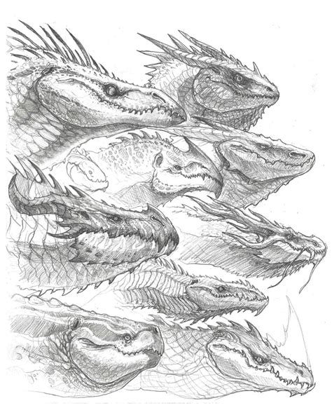 Dragon Head Sketches, John Tedrick on ArtStation at https://www.artstation.com/artwork/ZXyNx ...