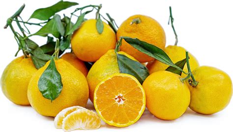 Satsuma Tangerines Information, Recipes and Facts