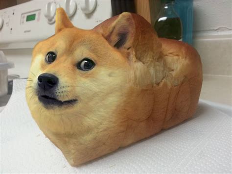 Dear Reddit, give us this day our daily Doge bread. : dogecoin