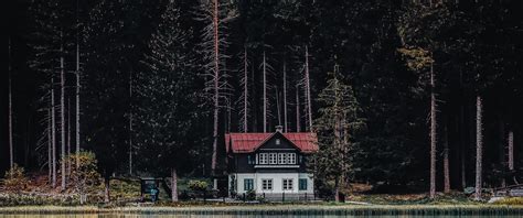 Dark Forest Wallpaper 4K, House, Tall Trees, Woods, Lake