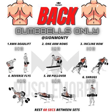 Back workout dumbbell only | Dumbbell back workout, Dumbbell workout plan, Dumbbell workout at home