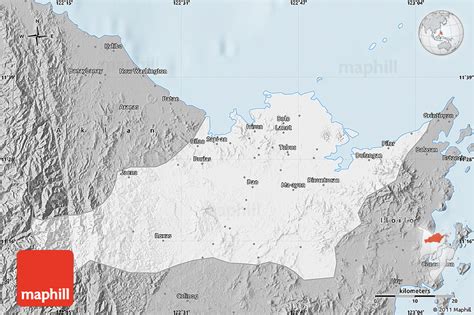 Gray Map of Capiz