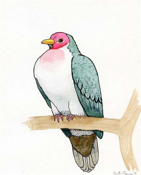 Watercolor Menagerie on Behance