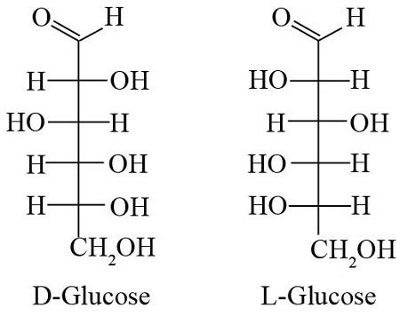 Glucose a. Draw the Fischer projection (standard orientation) for L ...