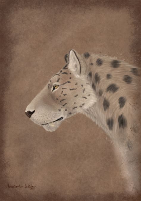 Homotherium latidens by Katarzyna Tomczak | Prehistoric animals ...