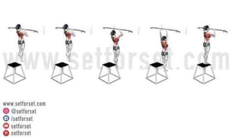 19 Pull Up Variations From Beginner to Advanced - SET FOR SET