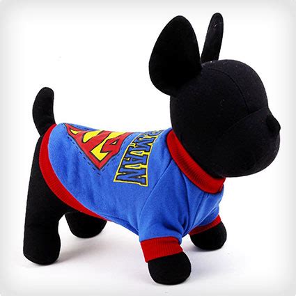 44 Superman Dog Costumes for Your Pup of Steel - Costume Yeti