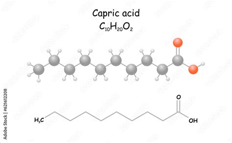 Stylized molecule model/structural formula of capric acid. Use for ...